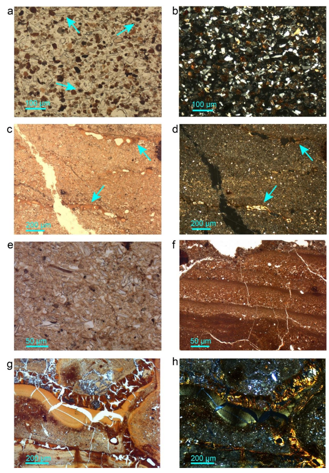 Geosciences 12 00092 g006