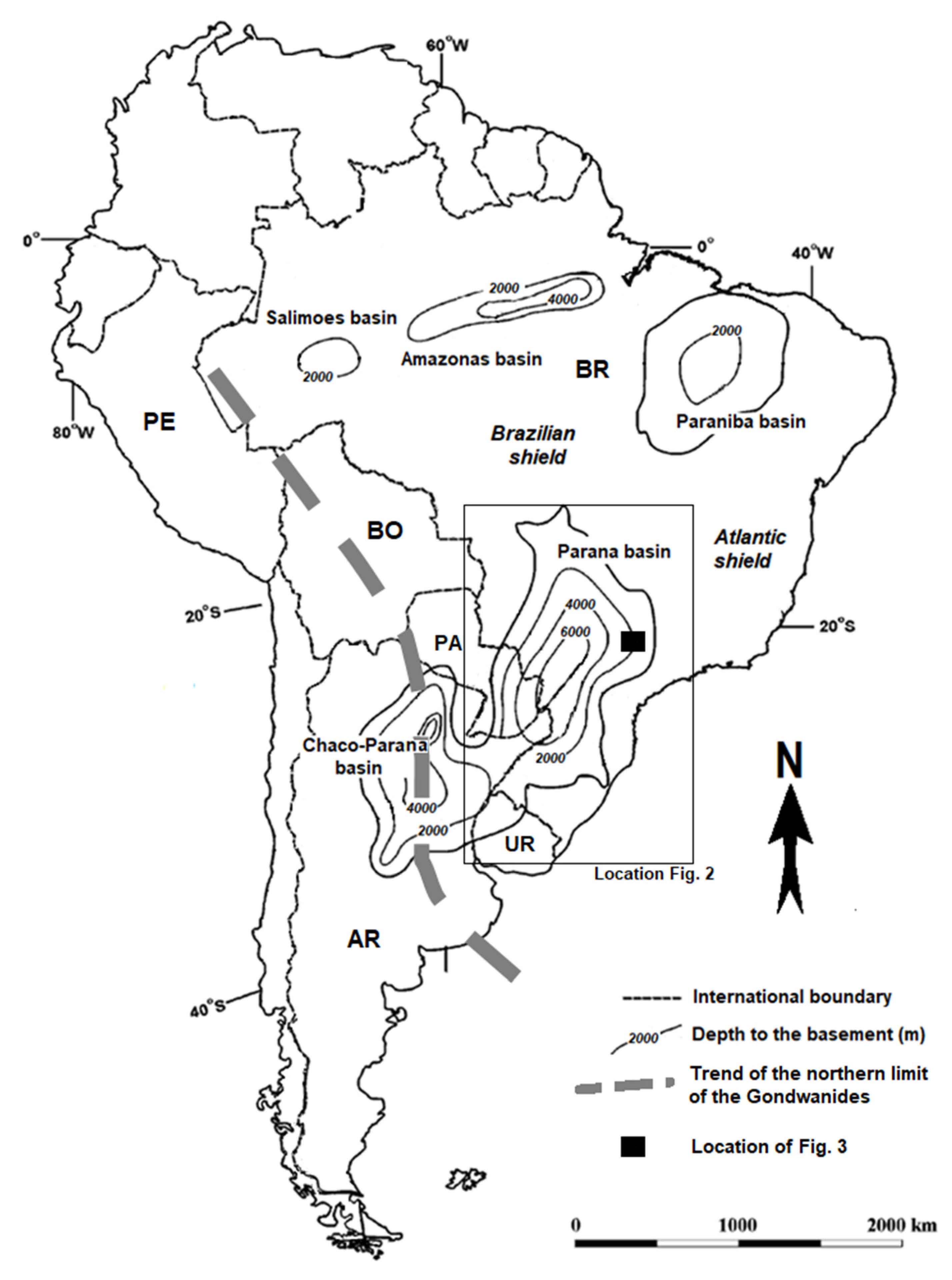 Amazona posicao