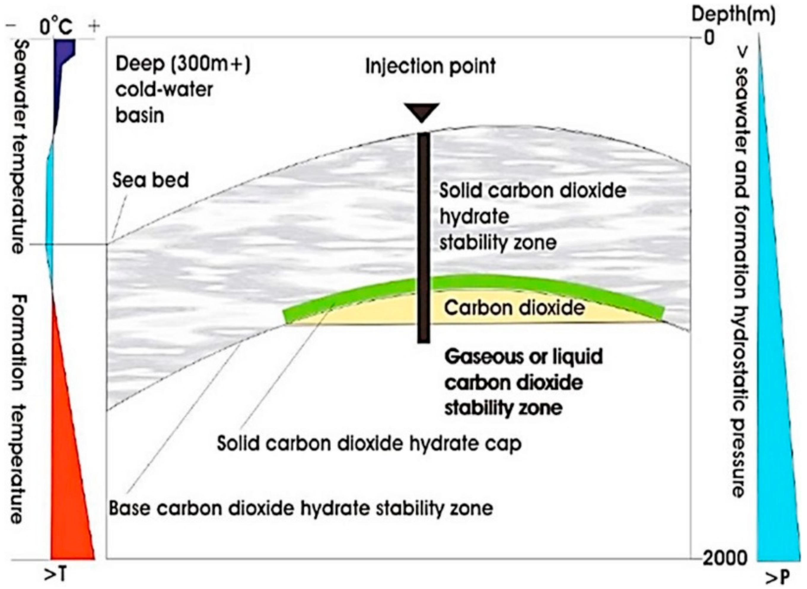 Geosciences | Free Full-Text | A Review of the Studies on  CO2&ndash;Brine&ndash;Rock Interaction in Geological Storage Process | HTML