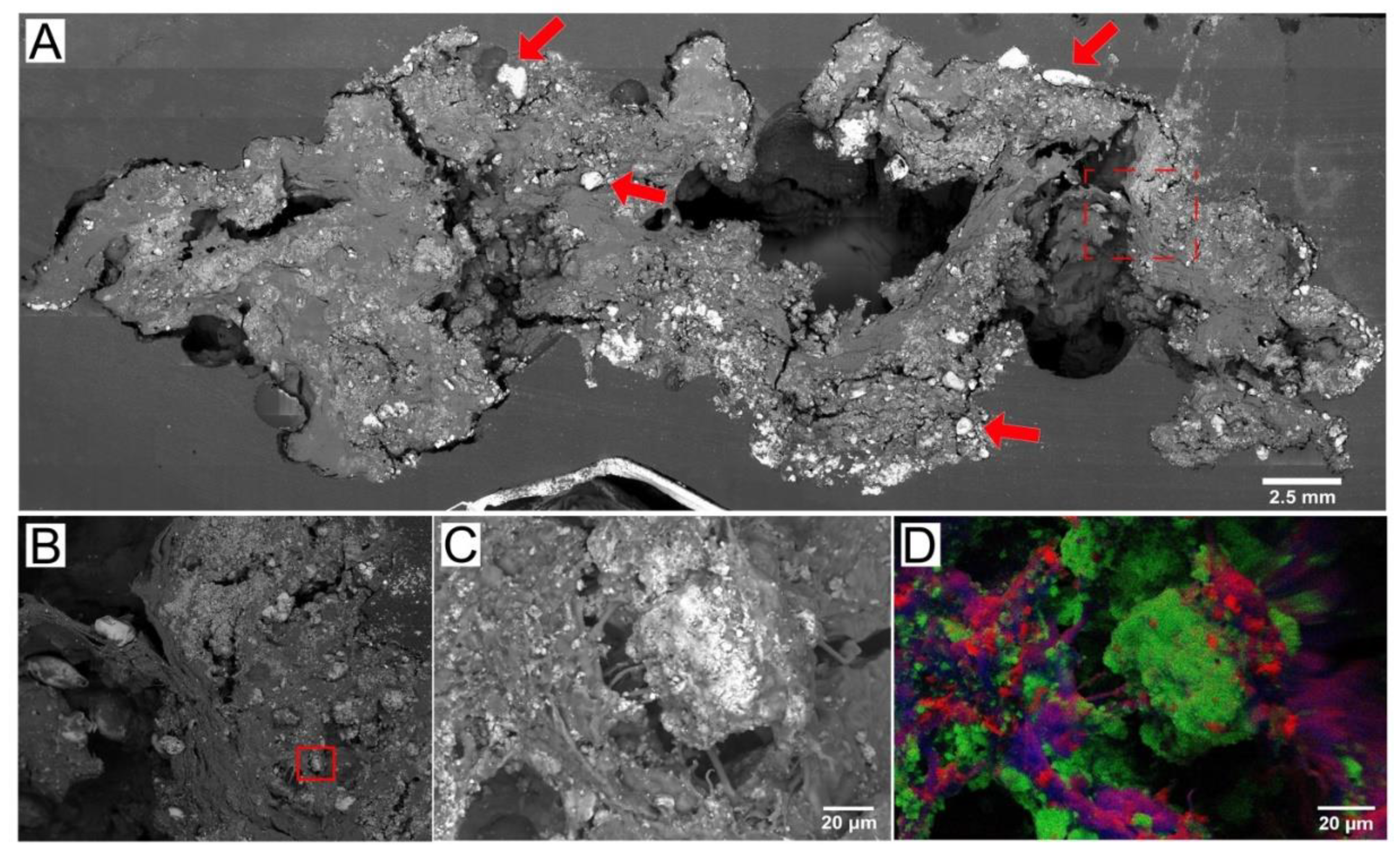 Geosciences 12 00185 g002 Geosciences 12 00185 g002