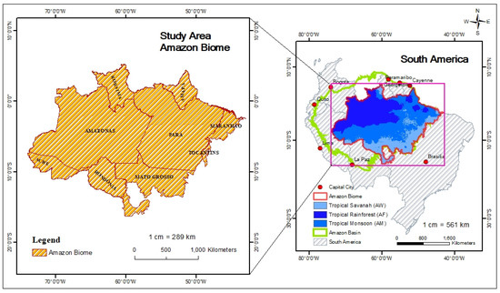 Geosciences | Free Full-Text | Characterizing Spatial Patterns of Amazon  Rainforest Wildfires and Driving Factors by Using Remote Sensing and GIS  Geospatial Technologies | HTML