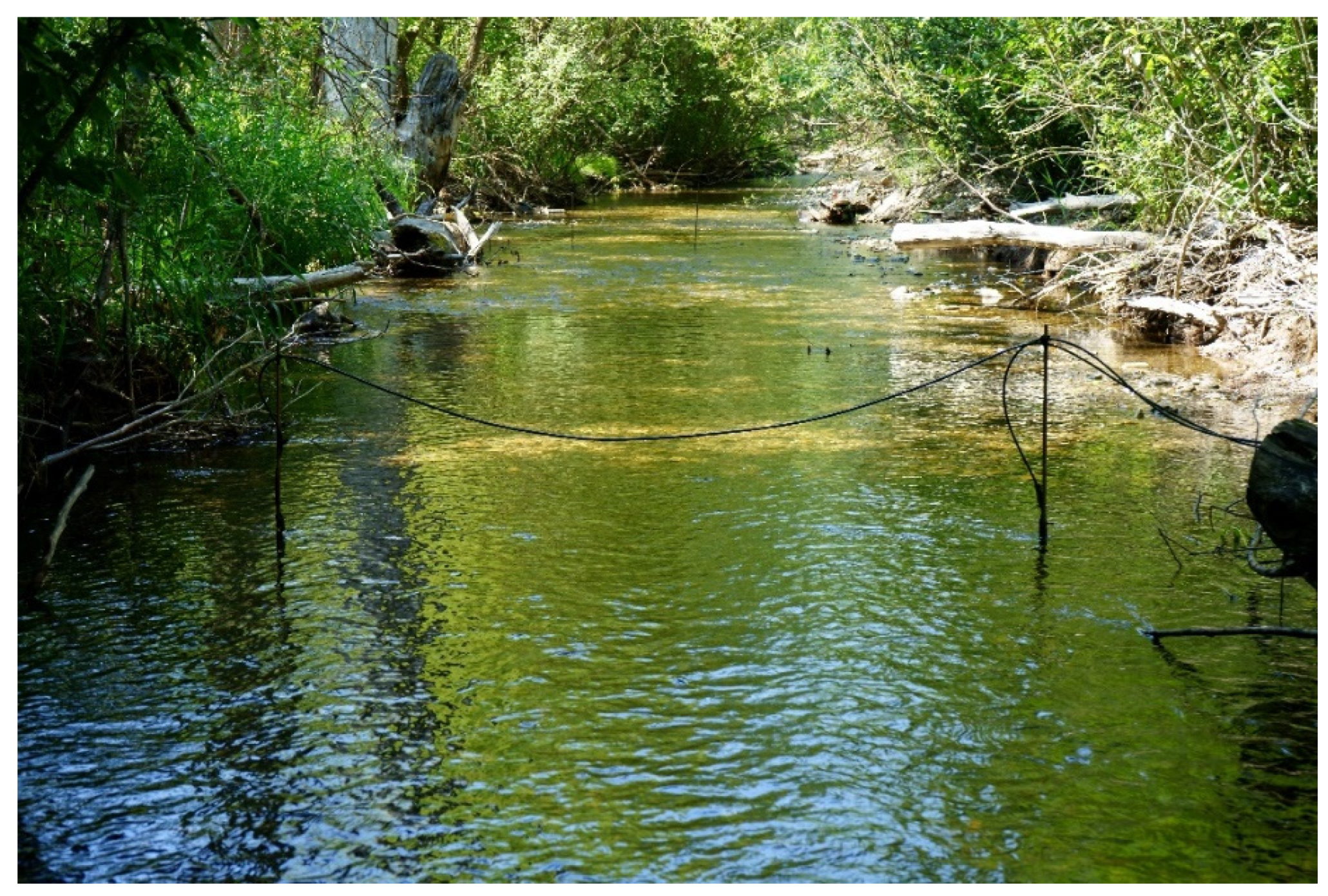 Geosciences 12 00281 g003