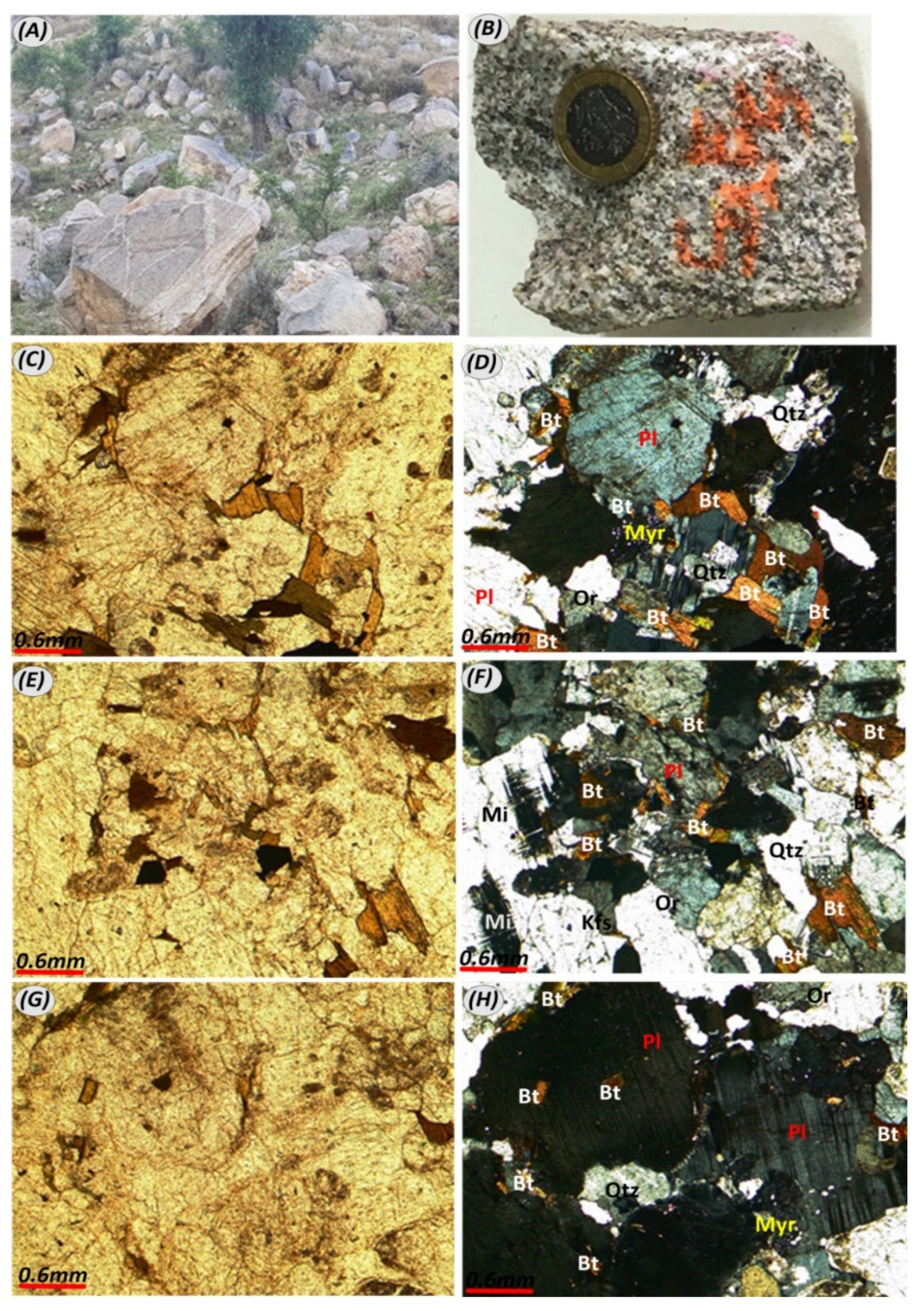 orthose vs plagioclase