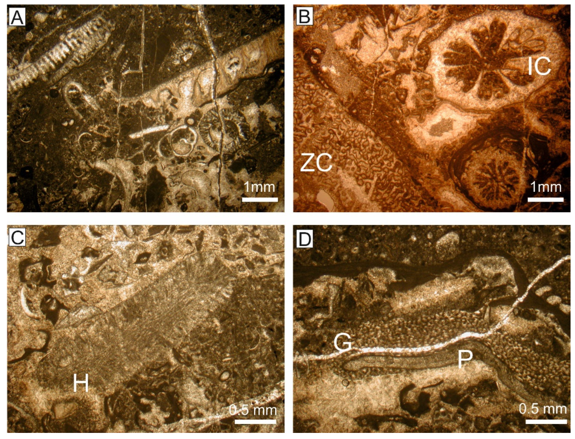 Geosciences 12 00348 g005