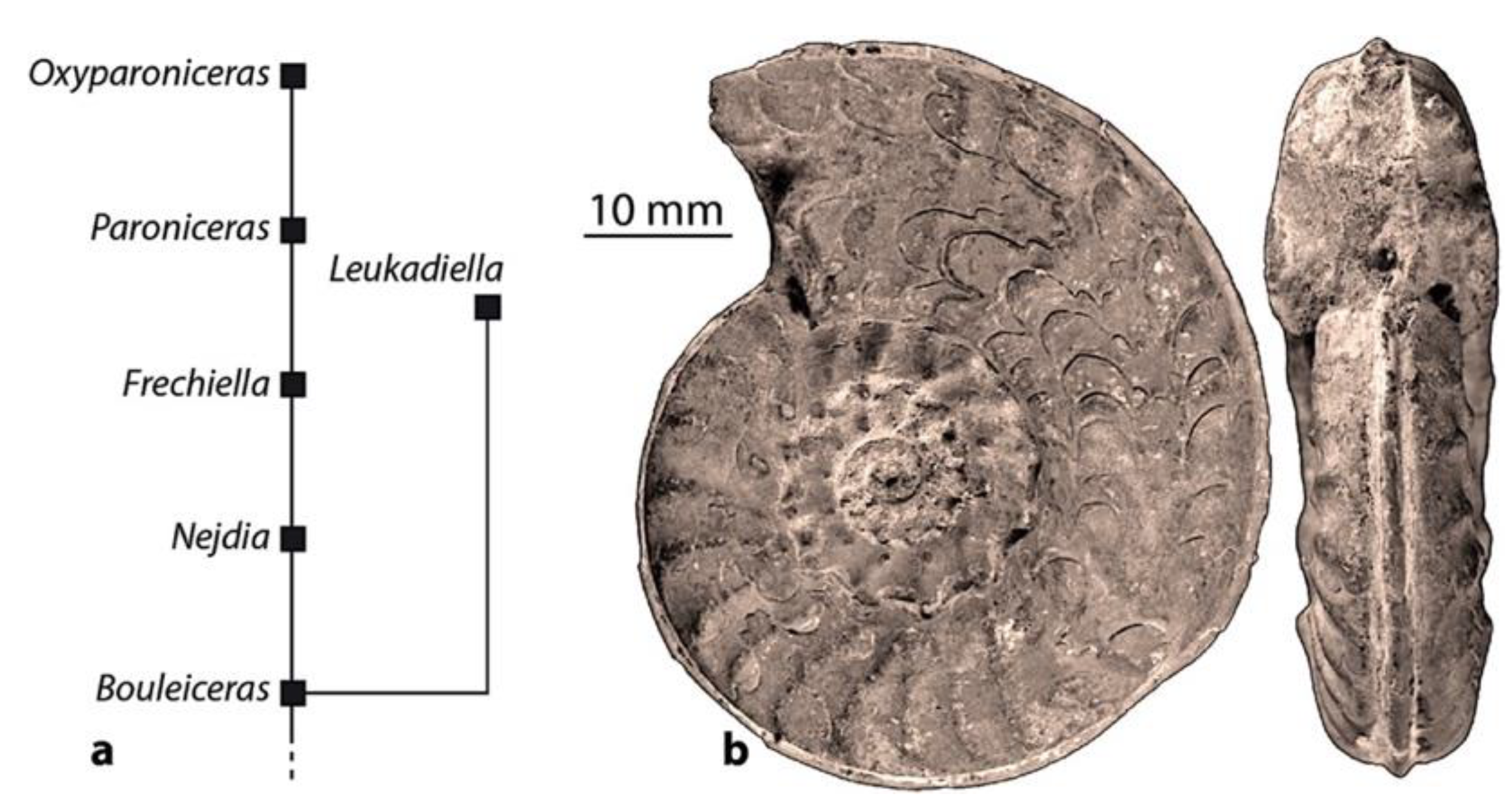 Geosciences 12 00411 g002 Geosciences 12 00411 g002