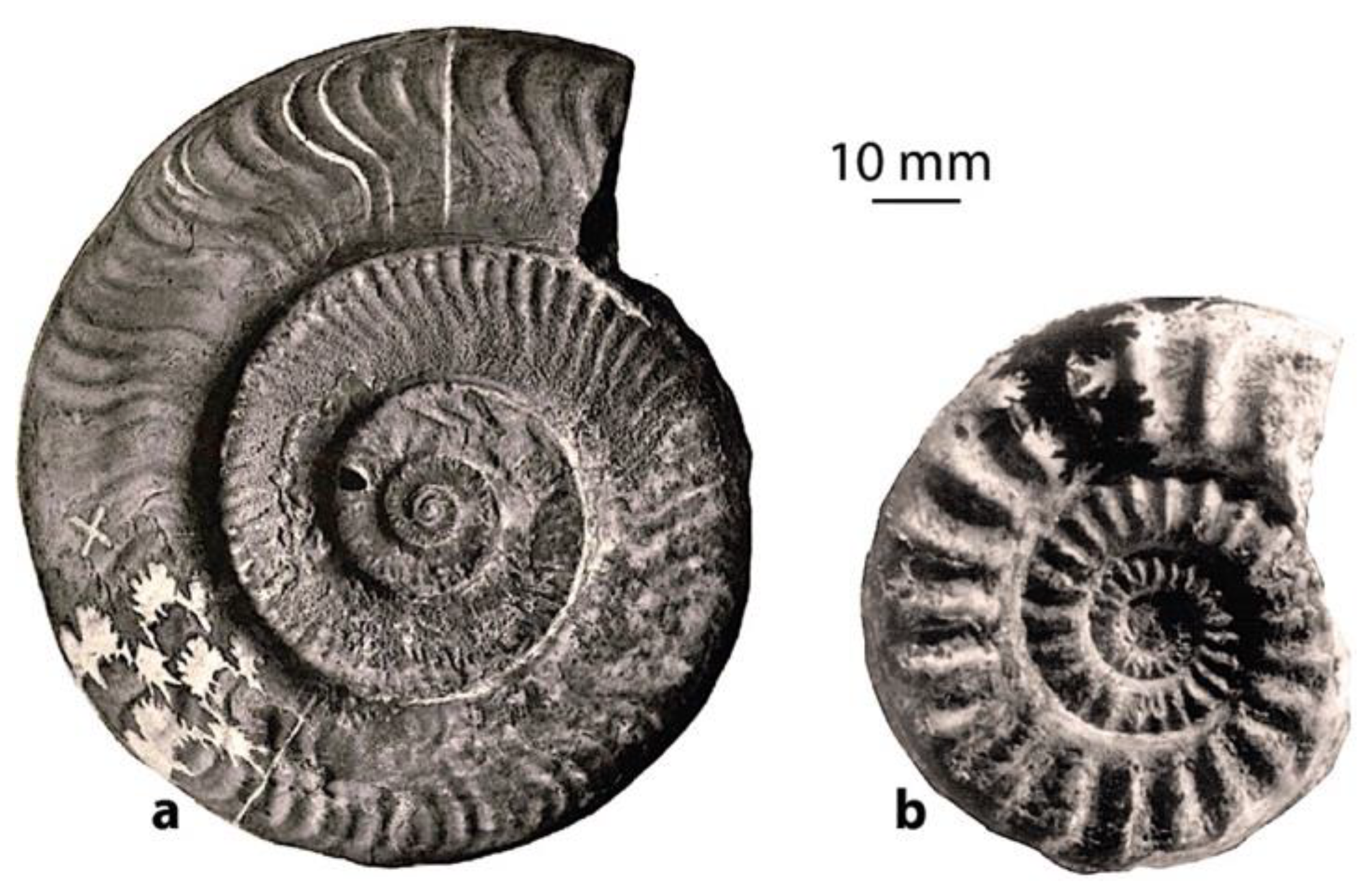 Geosciences 12 00411 g003 Geosciences 12 00411 g003