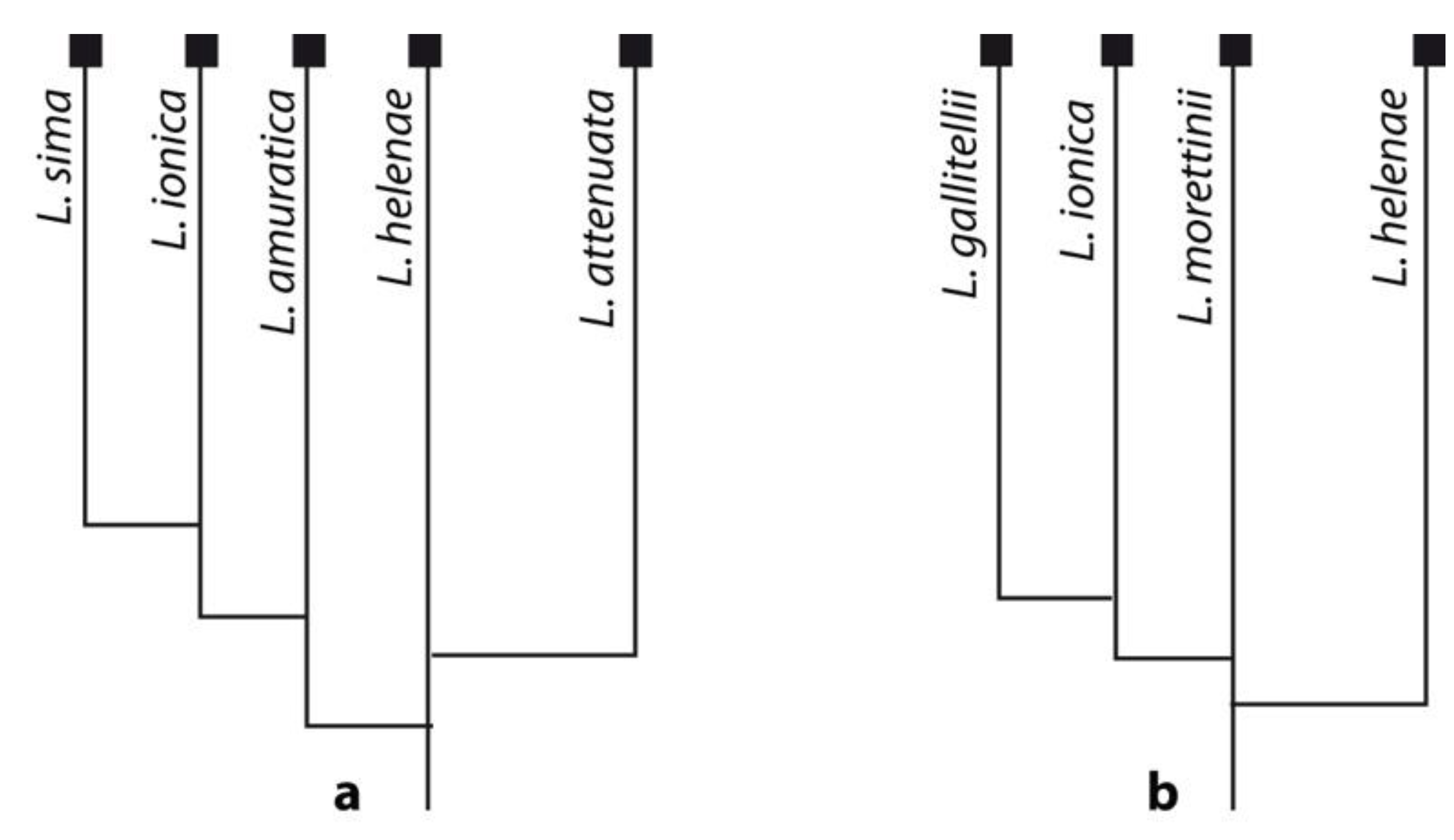 Geosciences 12 00411 g004 Geosciences 12 00411 g004