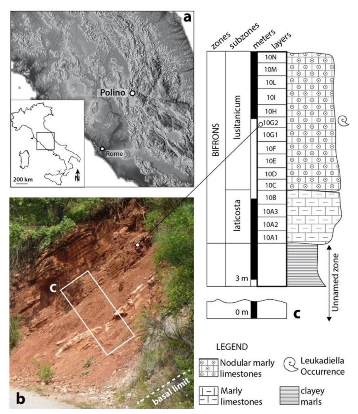 Geosciences 12 00411 g006 Geosciences 12 00411 g006