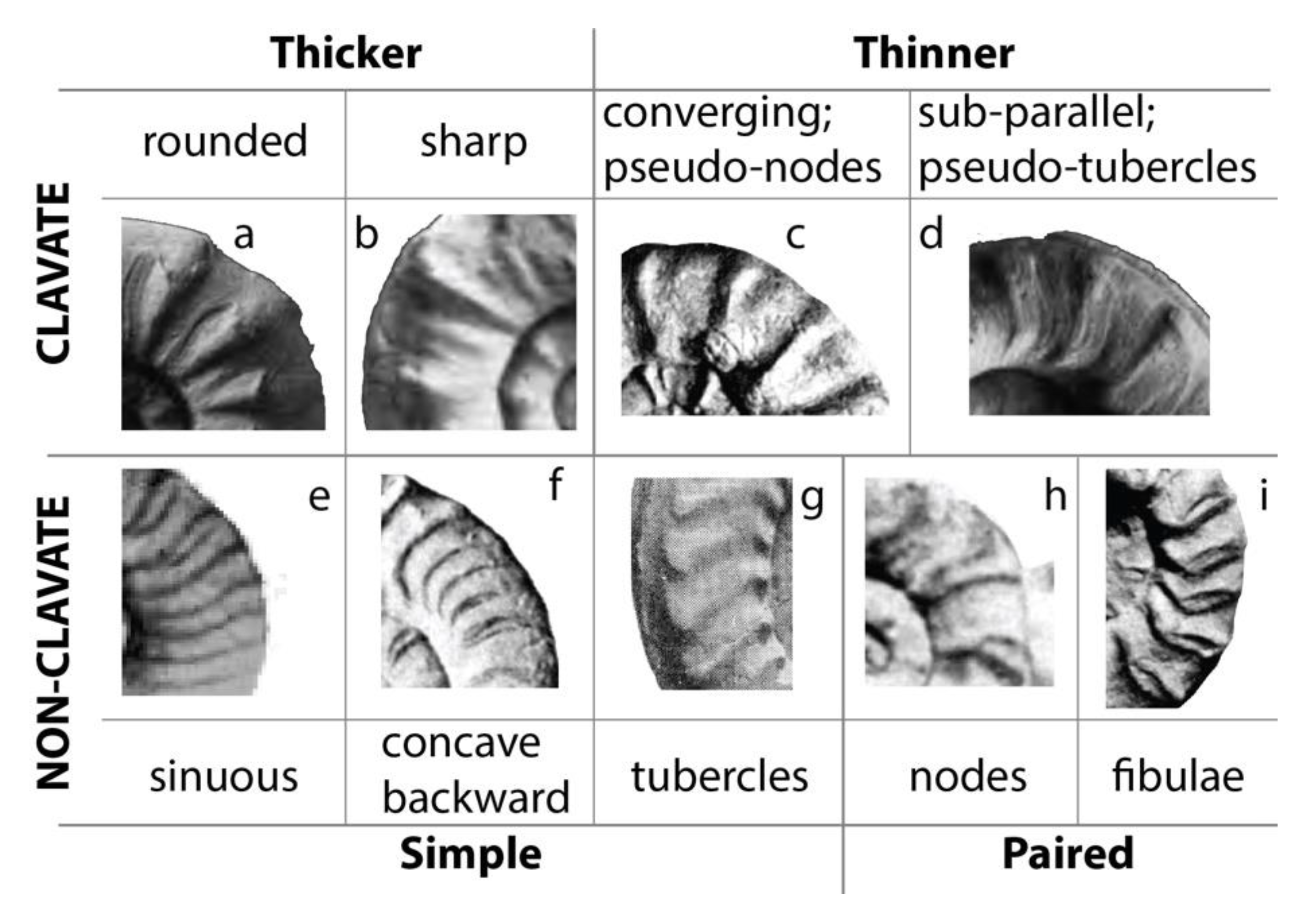 Geosciences 12 00411 g008 Geosciences 12 00411 g008