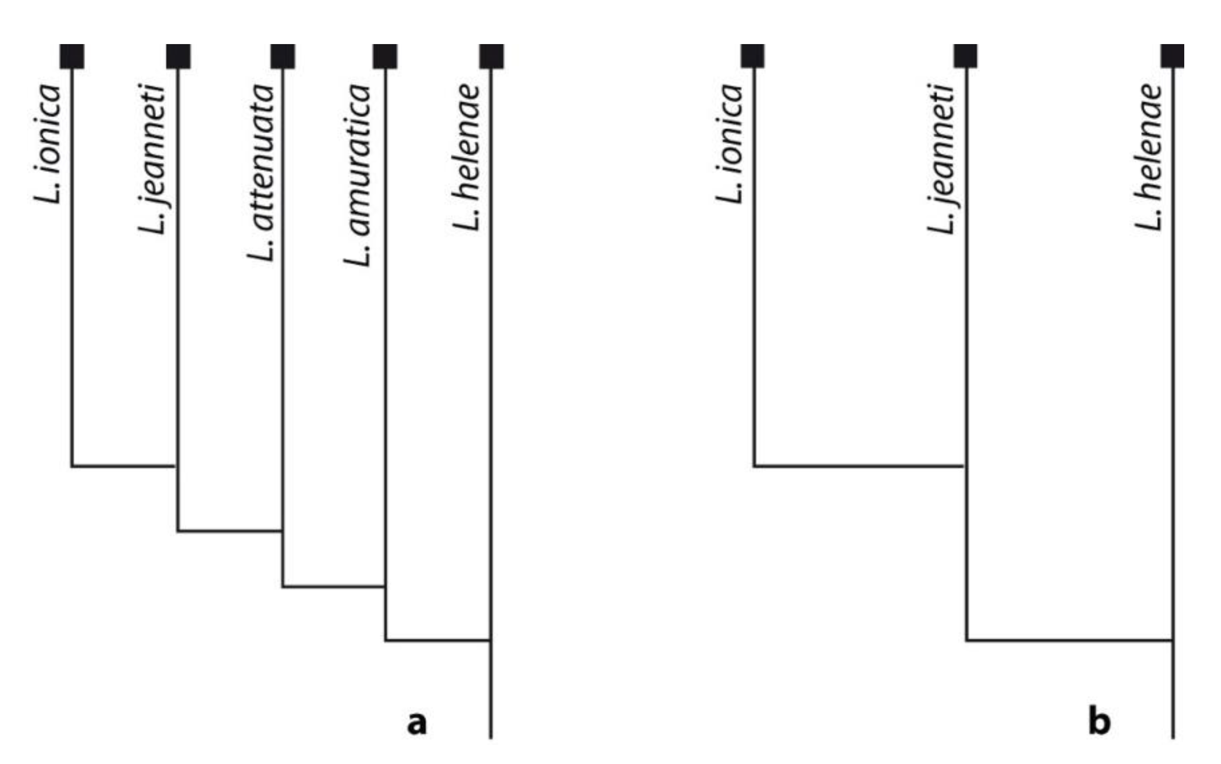 Geosciences 12 00411 g010 Geosciences 12 00411 g010