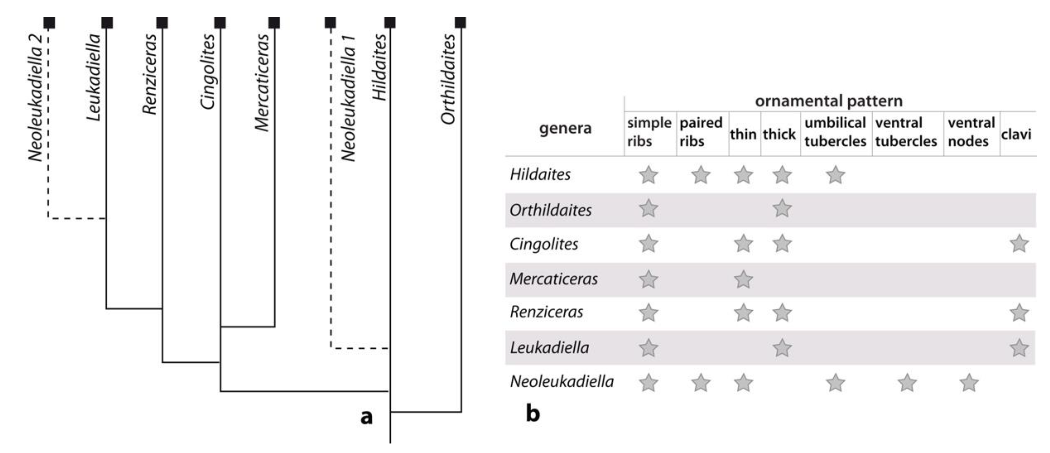 Geosciences 12 00411 g011 Geosciences 12 00411 g011