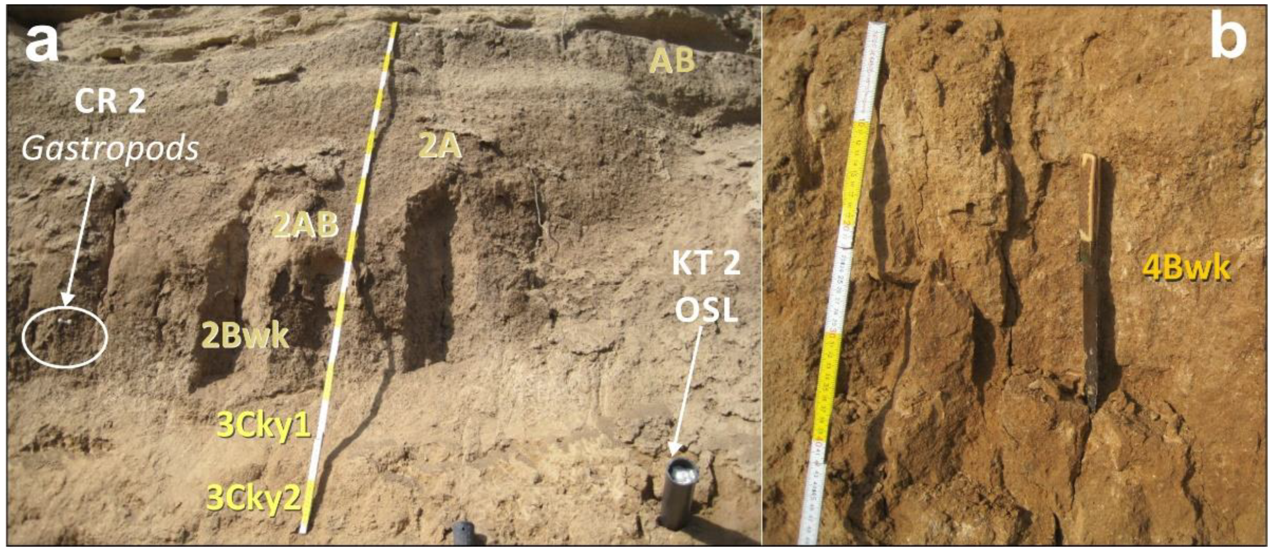 Geosciences 12 00459 g006