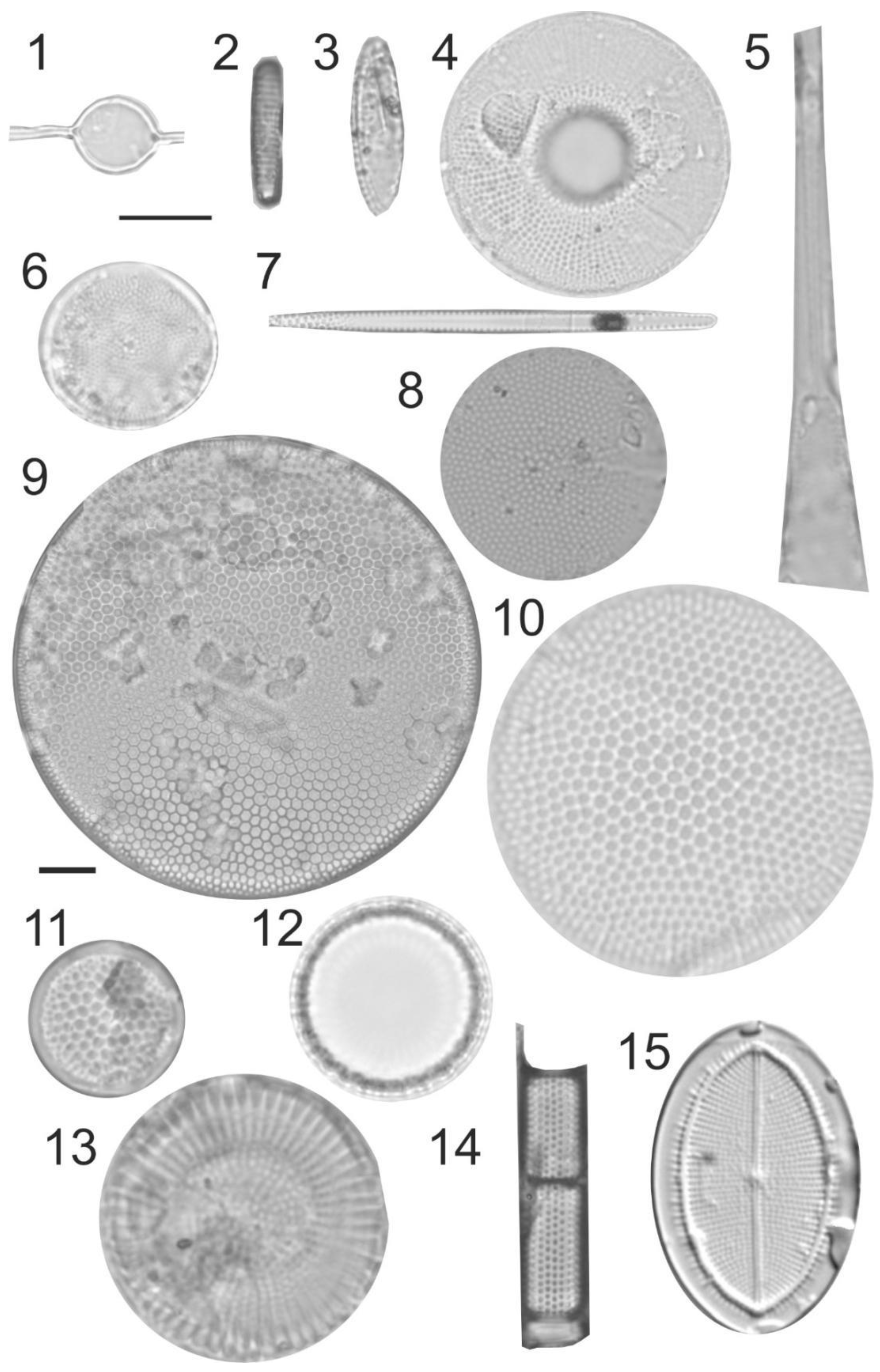 Geosciences 13 00001 g005 Geosciences 13 00001 g005