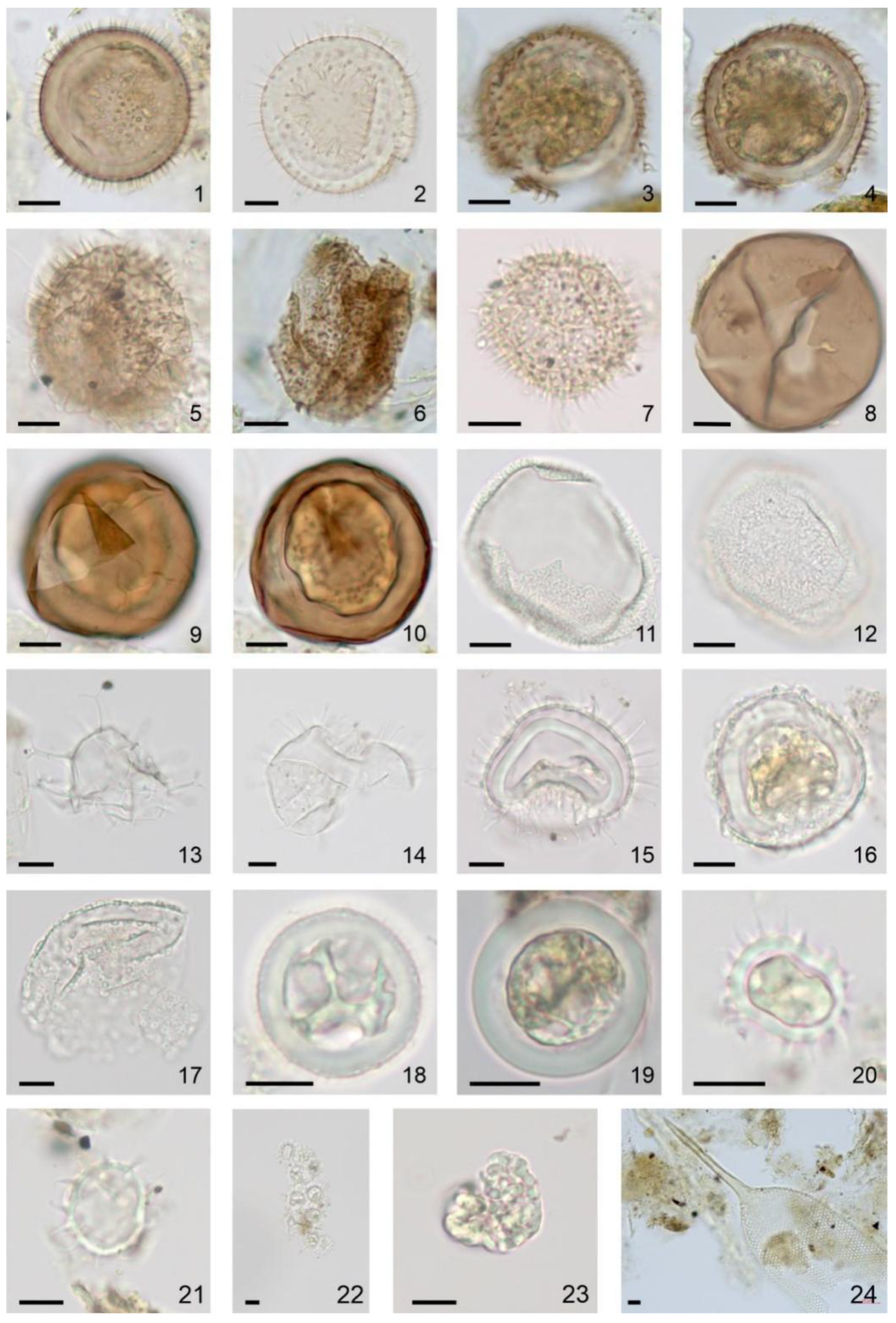Geosciences 13 00001 g008 Geosciences 13 00001 g008