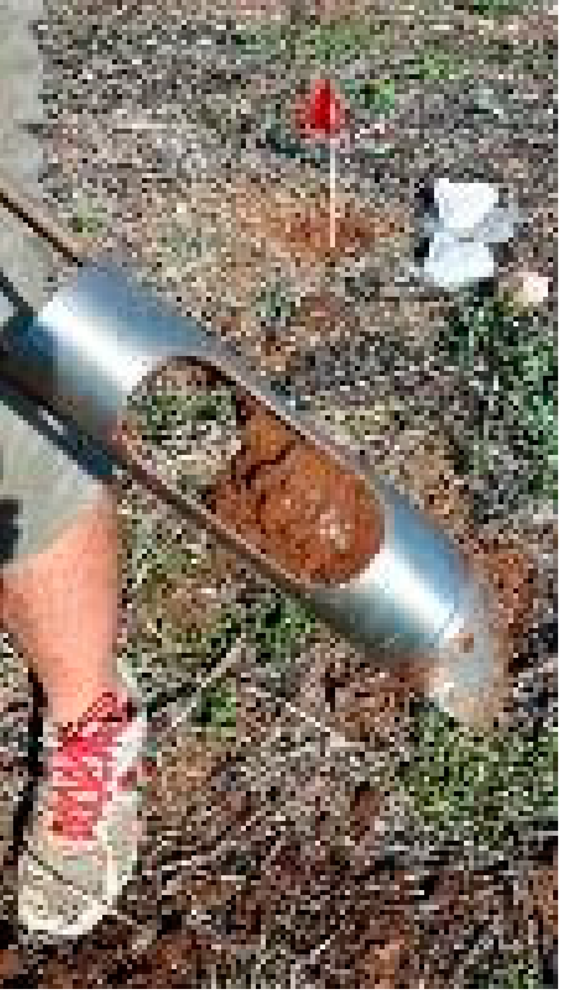 Geosciences 13 00003 i002 Geosciences 13 00003 i002