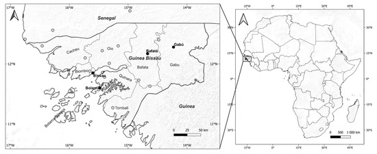Geosciences | Free Full-Text | Assessment of the Record-Breaking 2020  Rainfall in Guinea-Bissau and Impacts of Associated Floods