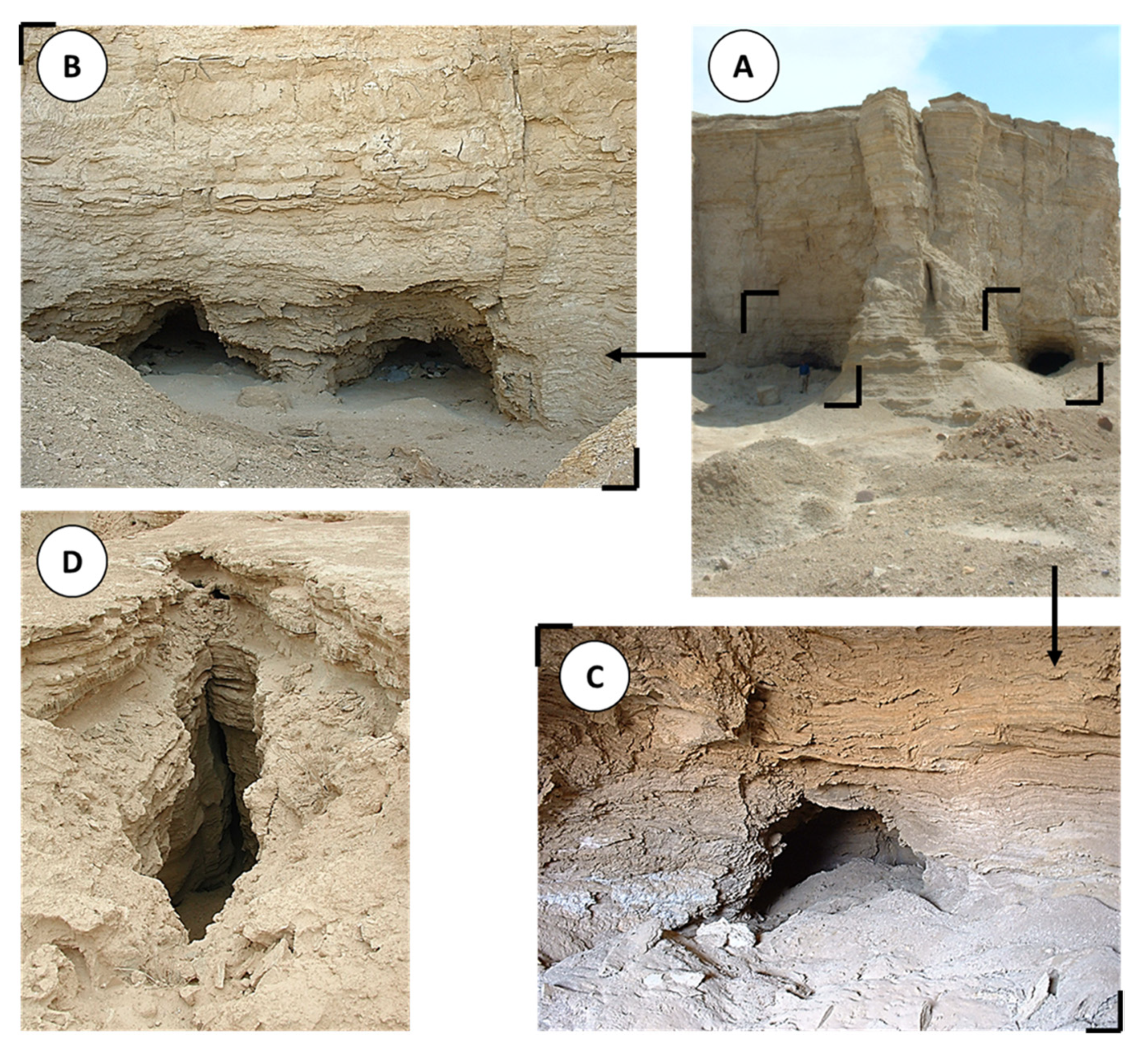 Geosciences 13 00042 g005 Geosciences 13 00042 g005