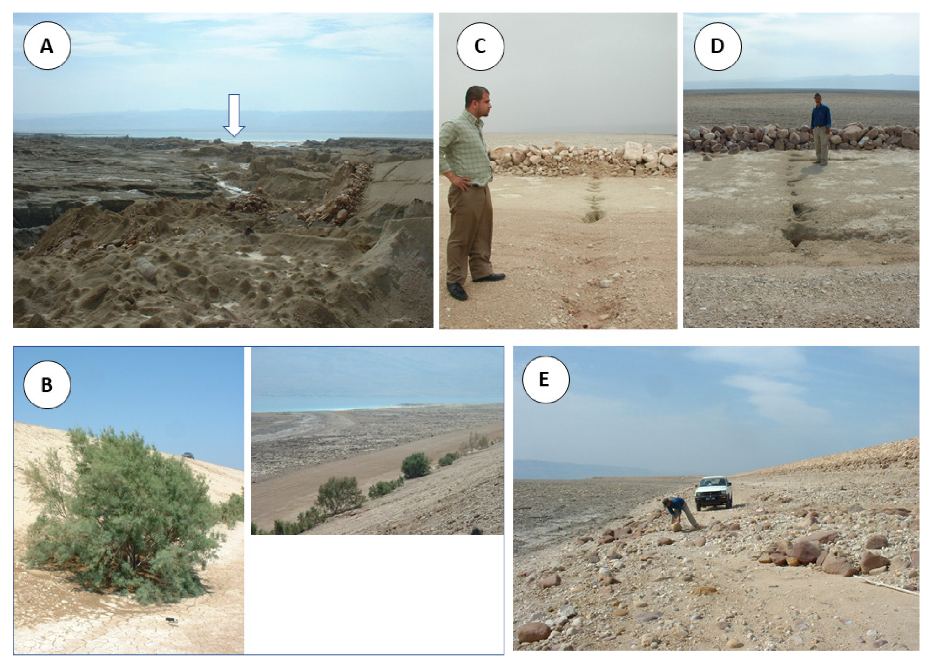 Geosciences 13 00042 g007 Geosciences 13 00042 g007