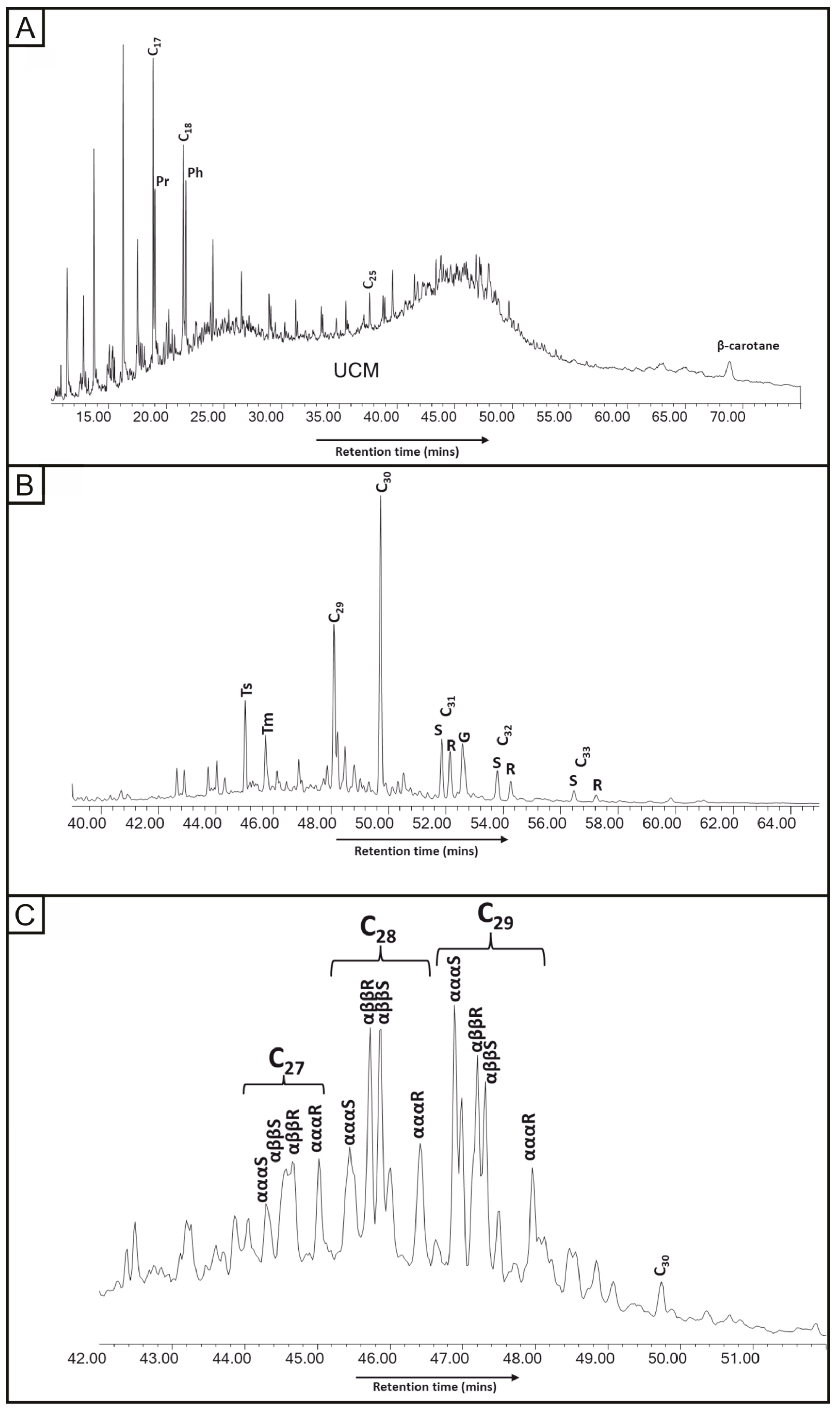Geosciences 13 00151 g006