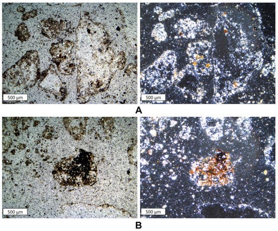 Intricate microfabrics. Microphotographs in plain light in soils: (a,b)