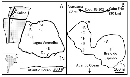 https://www.mdpi.com/geosciences/geosciences-13-00229/article_deploy/html/images/geosciences-13-00229-g001-550.jpg