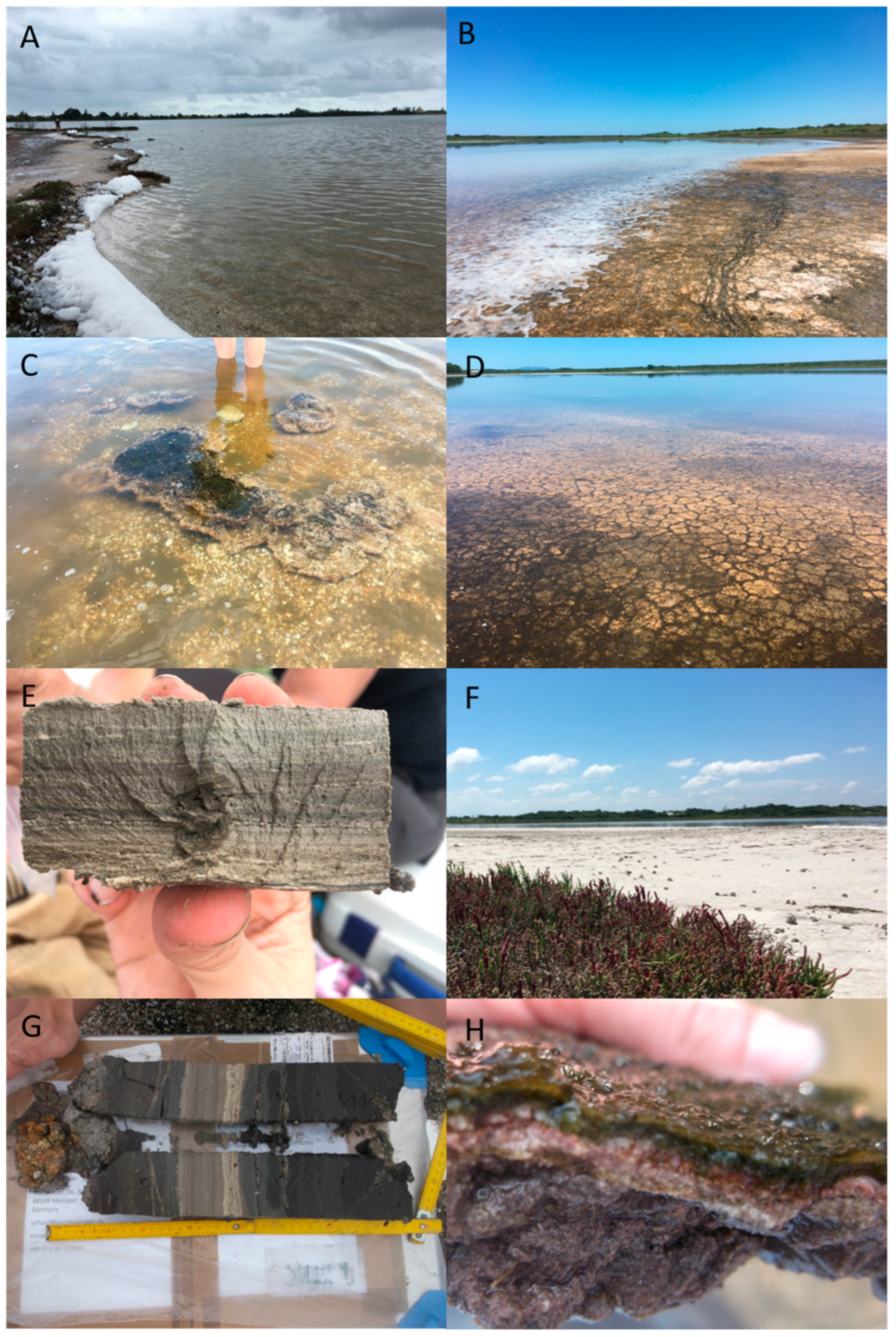 Geosciences 13 00229 g002