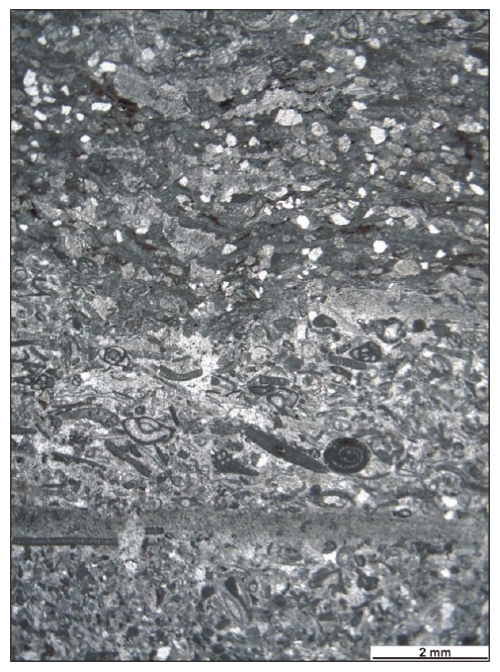 Geosciences 13 00254 g011