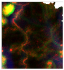 Geosciences 13 00263 i002