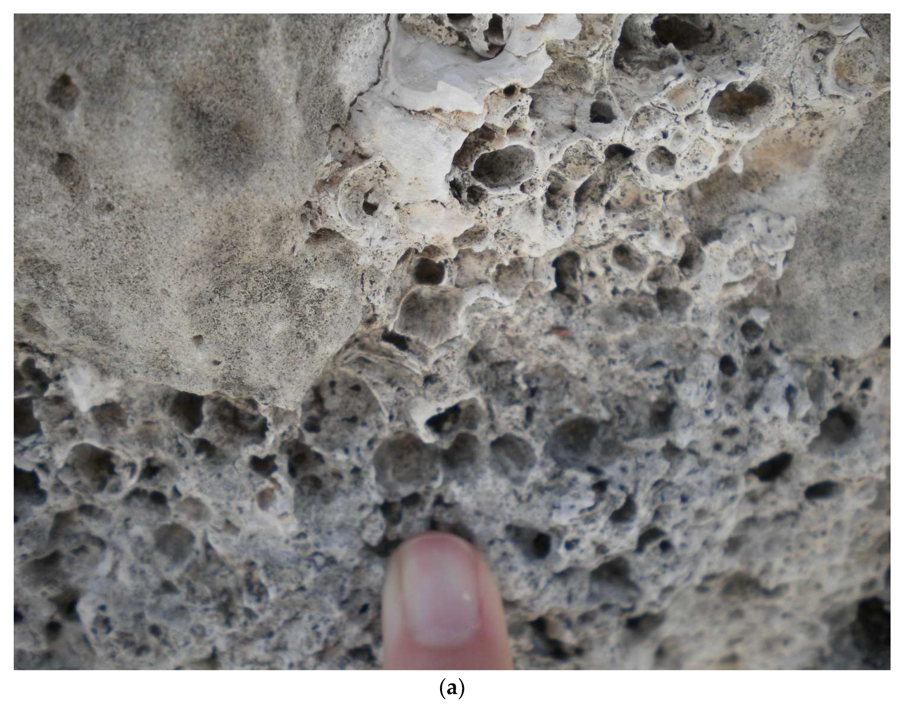 Geosciences 13 00329 g006a