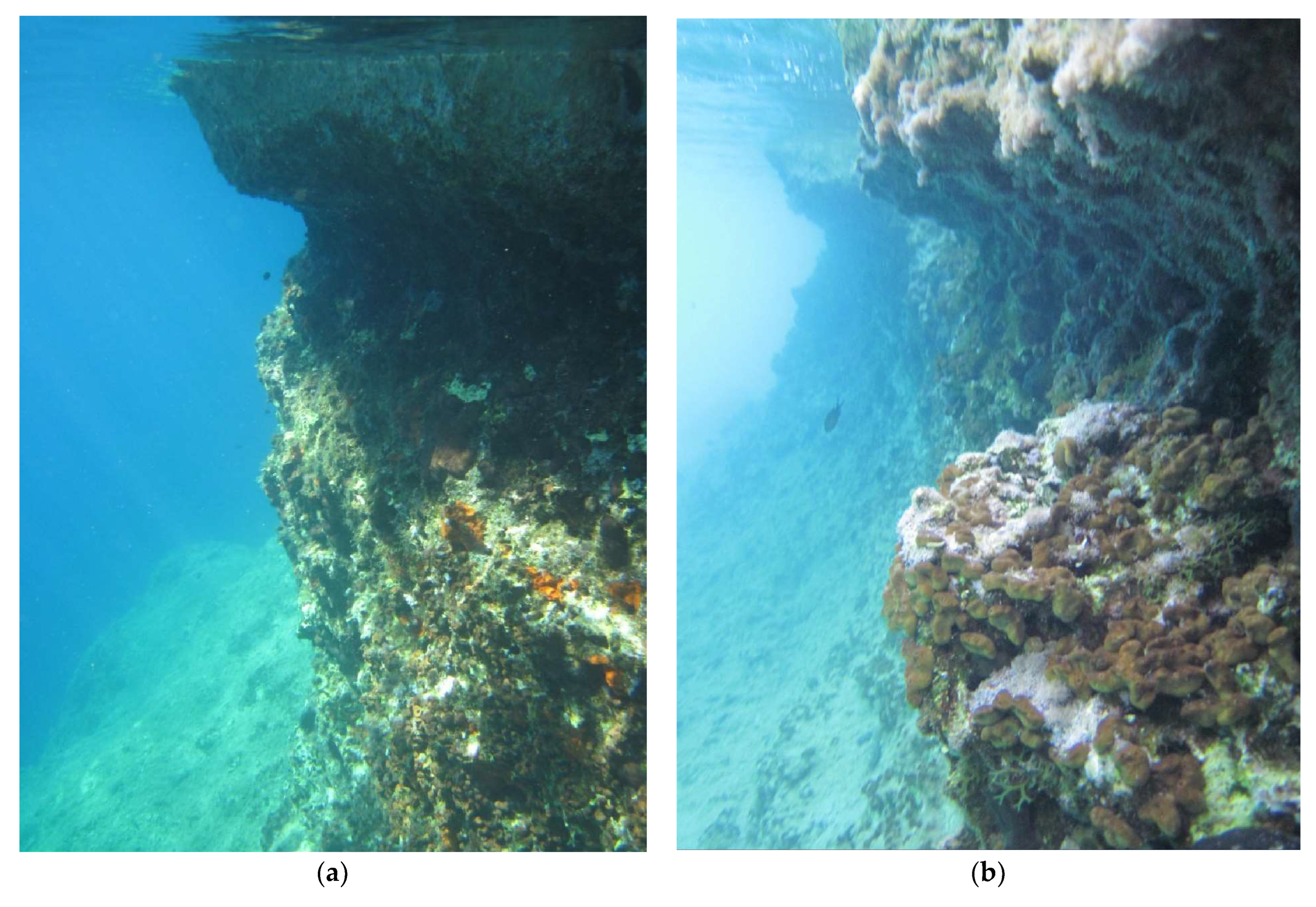 Geosciences 13 00329 g009