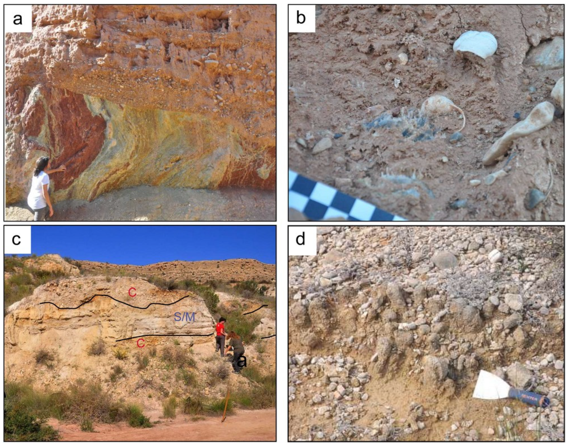 Geosciences 13 00385 g007 Geosciences 13 00385 g007