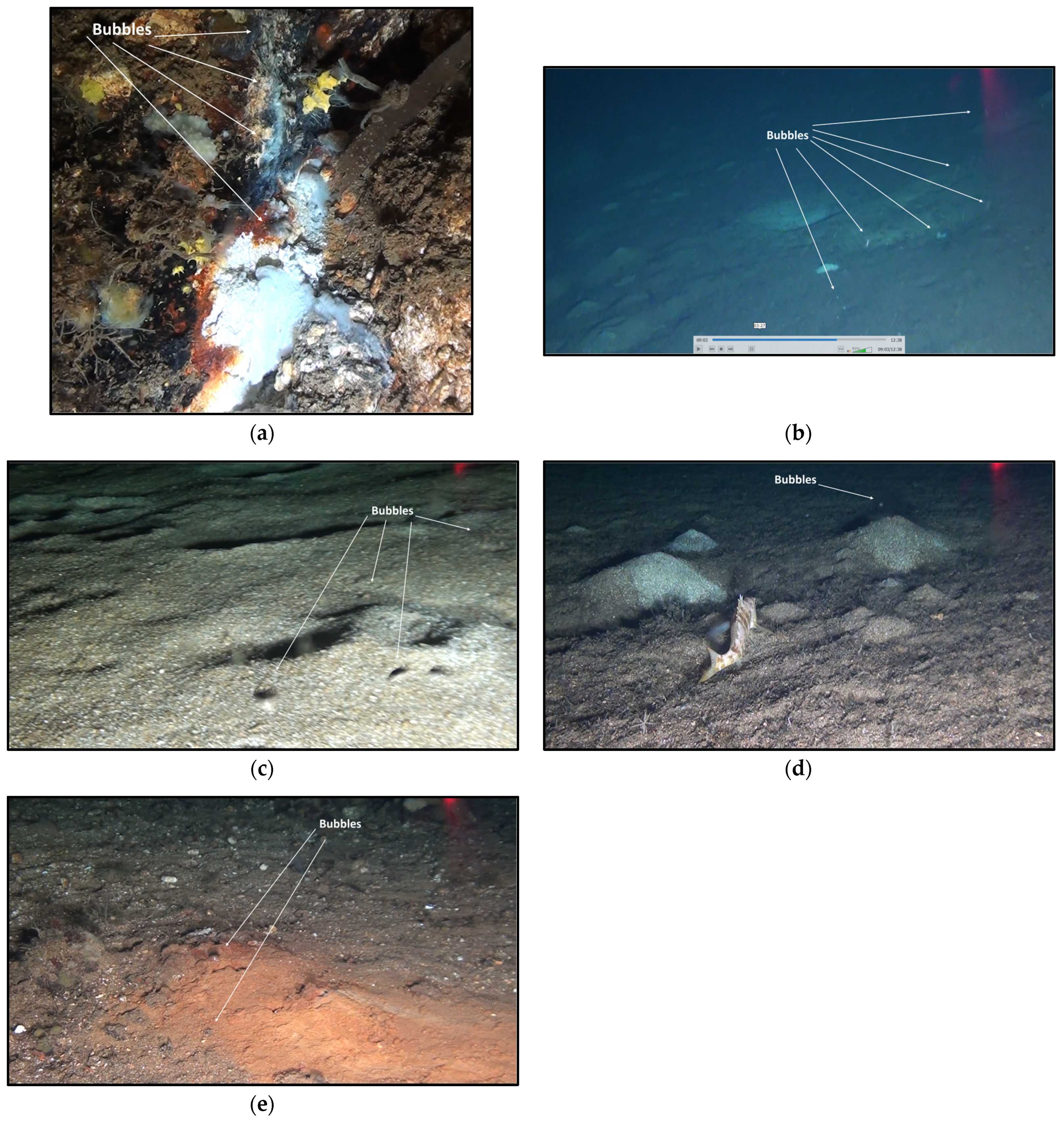 Geosciences 14 00060 g021