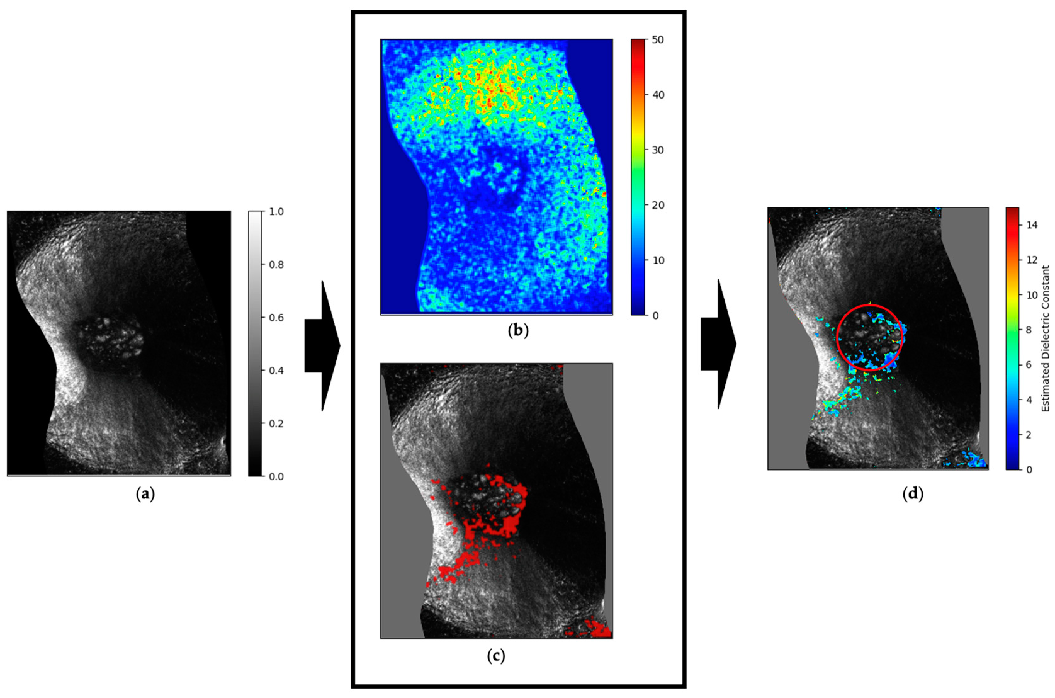 Geosciences 14 00101 g002