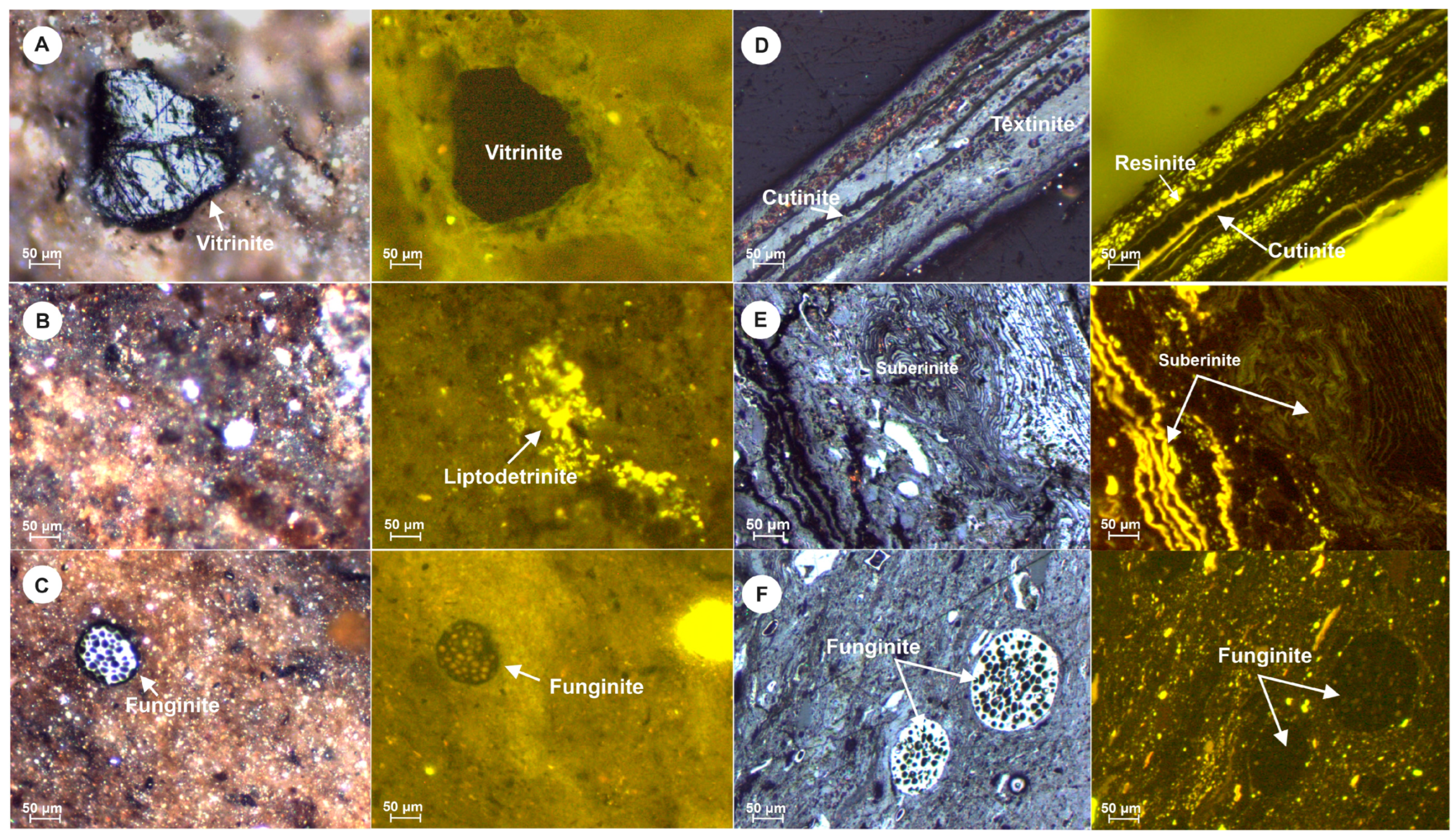 Geosciences 14 00164 g006