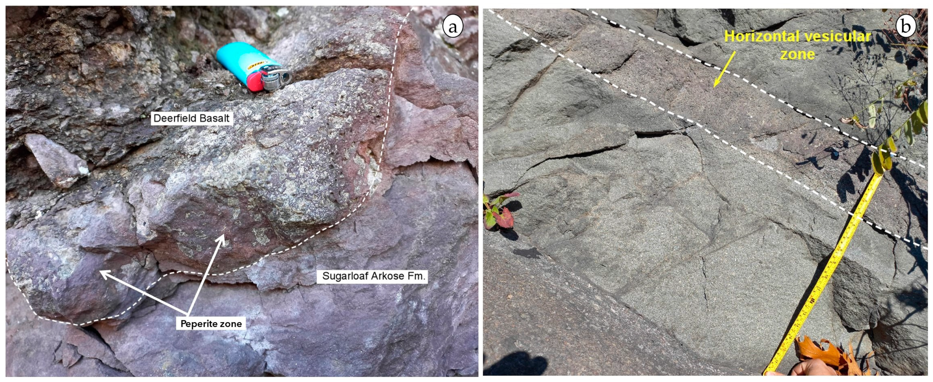 Geosciences 14 00204 g015