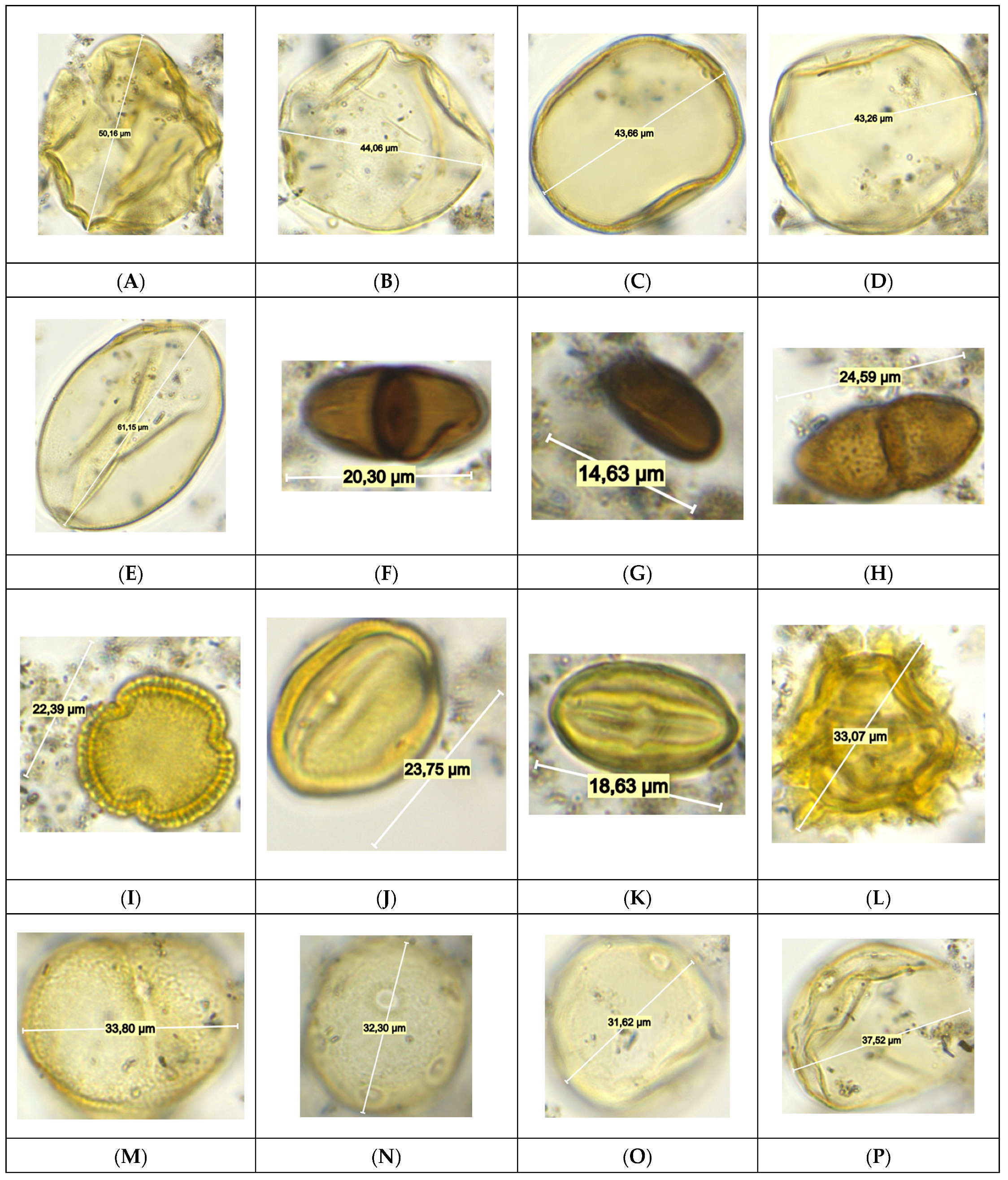 Geosciences 14 00211 g011