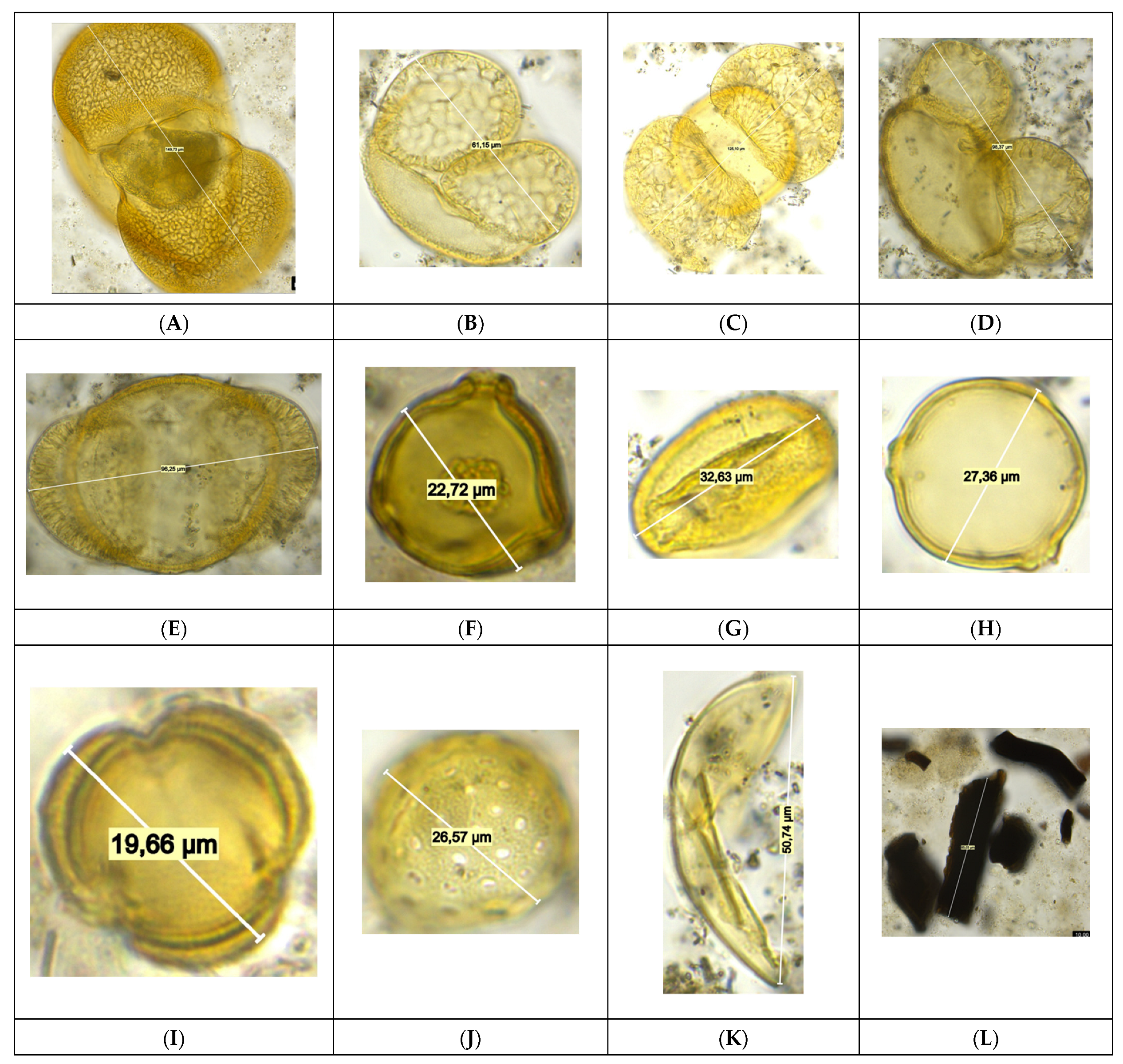 Geosciences 14 00211 g012
