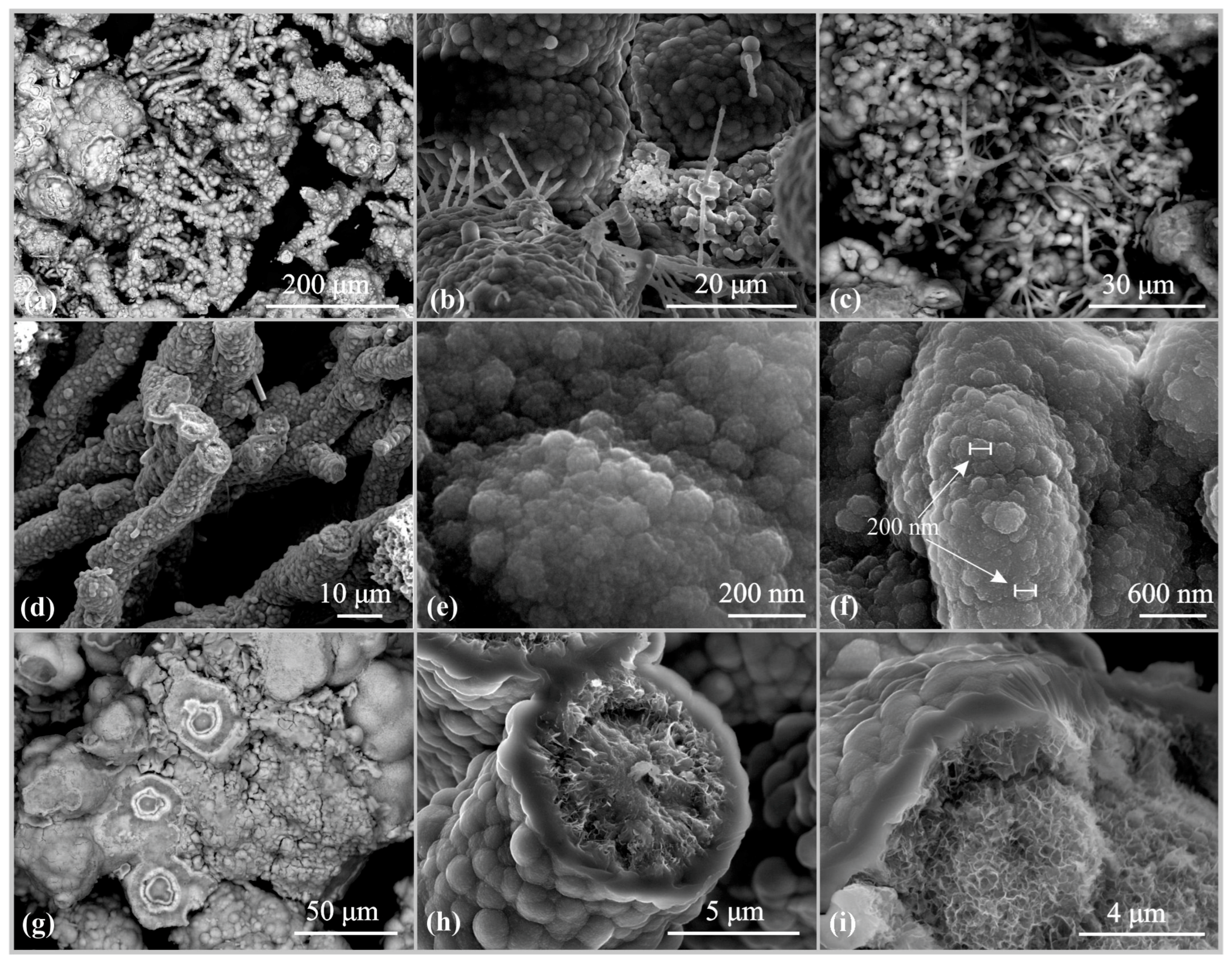 Geosciences 14 00240 g003
