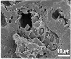 Geosciences 14 00252 i006