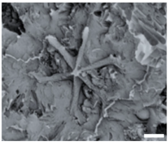 Geosciences 14 00252 i008