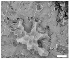 Geosciences 14 00252 i011