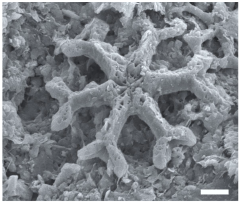 Geosciences 14 00252 i020