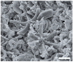 Geosciences 14 00252 i022