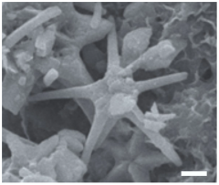 Geosciences 14 00252 i023