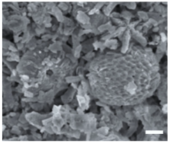 Geosciences 14 00252 i027