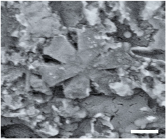 Geosciences 14 00252 i029