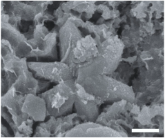 Geosciences 14 00252 i030