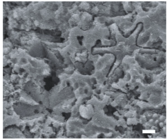 Geosciences 14 00252 i032