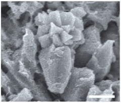 Geosciences 14 00252 i033