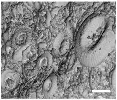 Geosciences 14 00252 i038
